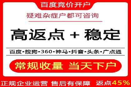 百度推广返点策略：成功案例分享